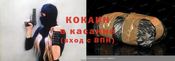 индика Нея