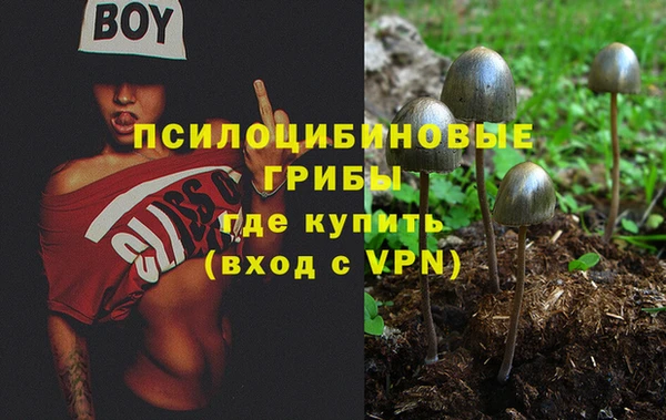 a pvp Абаза