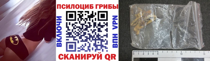 Галлюциногенные грибы Psilocybine cubensis  маркетплейс официальный сайт  Ряжск 