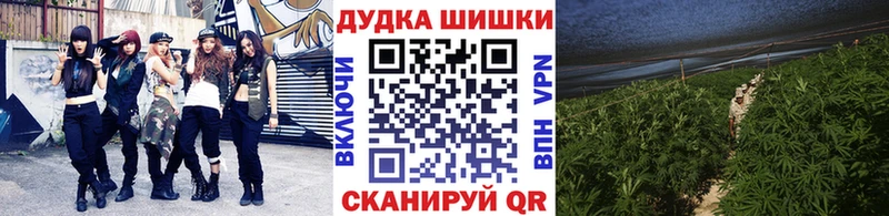 наркота  Ряжск  Каннабис конопля 